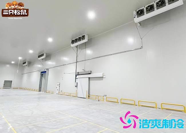 安徽三只松鼠30000m3食品冷库建造